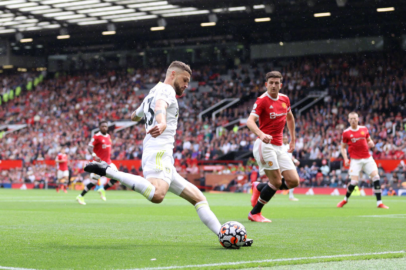 世界羽坛的 世界羽坛的